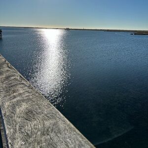 Meet your Posher, Rayna